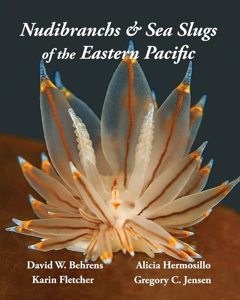 Nudibranchs & Sea Slugs of the Eastern Pacific: Behrens